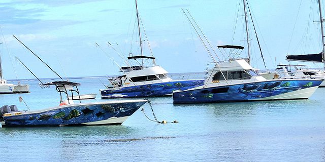 Private speed boat trip coin mire flat island half201825 (7)